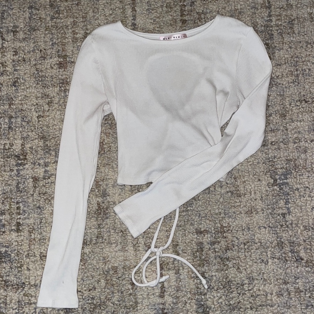 Blue blush crop top
